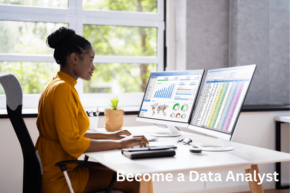 Become a Data Analyst